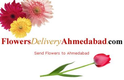 Fascinating flower festivity at your mouse tips