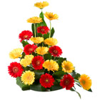 Check out for proficient ways to express yourself