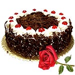 Celebrations you plan gets the cake dimnesion