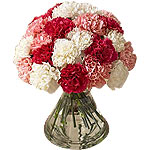 Flowers to script your compassions for your acquaintances