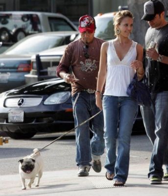 cute perfect trained pug puppies for rehome