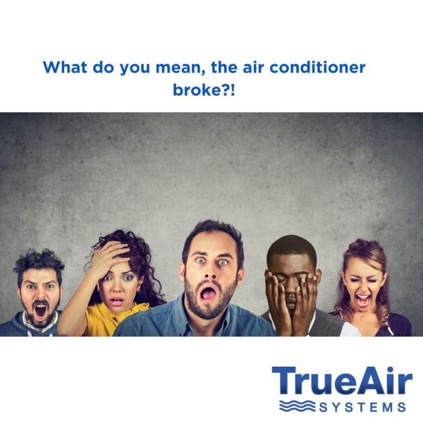 True Air Systems
