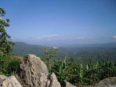 Jamaican Eco Farm, House and Land For Sale