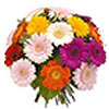 Flowers to add a classical appeal to celebrations