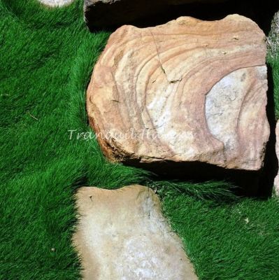 Korean No Mow Grass 10 pots $75.00 Free EXPRESS Post