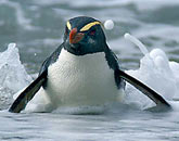 It’s the travel with newness when you’re in New Zealand