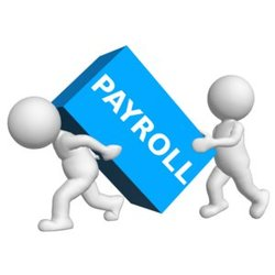 Payroll Services Provider