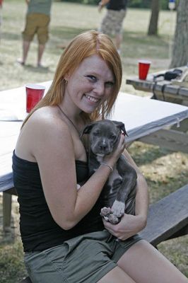 Registered American Pitbull Puppy Lincoln