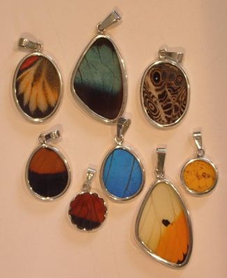 Real Butterfly Wing Jewellery
