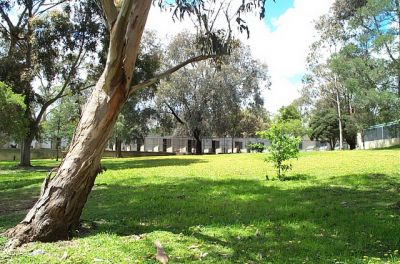 Sparrows in the Treetop - The perfect Solution for Pet Boarding