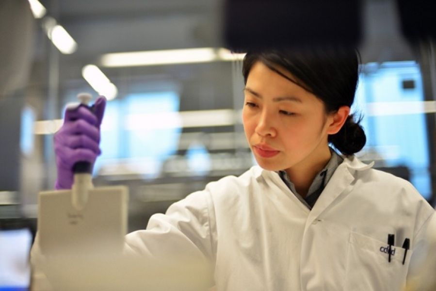 Should you really Visit your Dentist Twice Each Year?