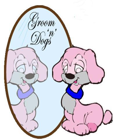 Professional Pet Stylist/Groomer