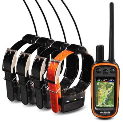 FOR SALE Garmin Alpha 100 GPS Training & Tracking Collar (5-Dog Combo)