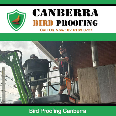 Canberra Bird Proofing