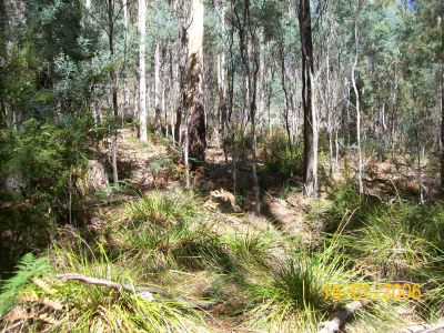 ATTENTION all woud be SQUIRES