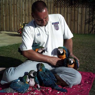 Home raised Macaw birds available.