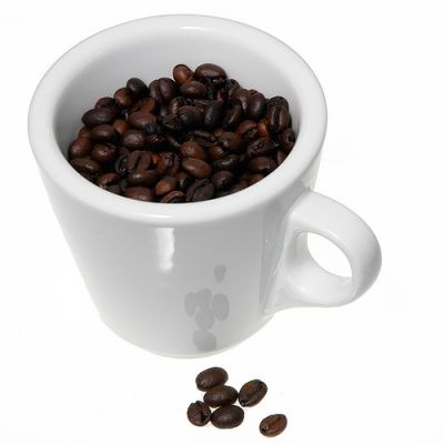 Wholesale Coffee Beans direct pricing at $19 per kilo (cafe/bar)