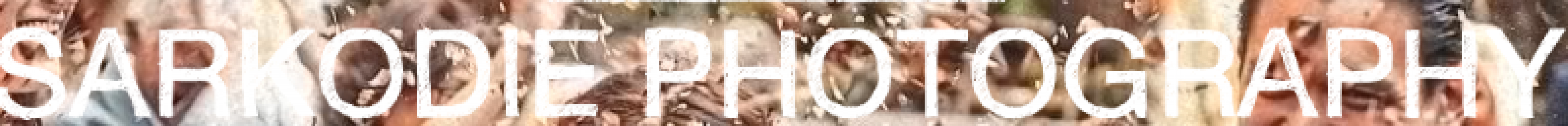 Sarkodie Photography