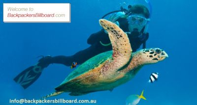 Travelling around Australia has never been easier!