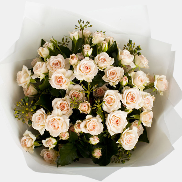 French Flowers – Same Day Flowers Delivery throughout Brisbane