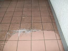 Sick of seeing dirty Carpets??