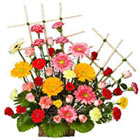 Send floral wishes exclusively from www.rightflorist.in