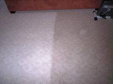 CARPET & UPHOLSTERY STEAM CLEANING SERVICES