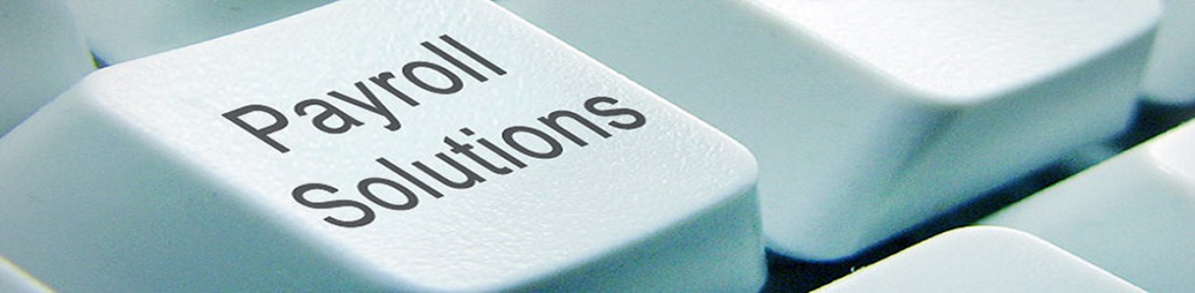 Payroll Services Provider