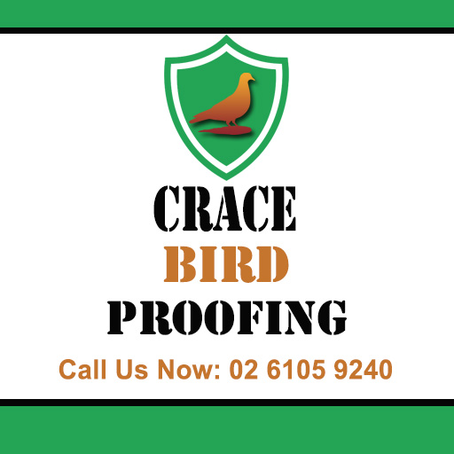Crace Bird Proofing