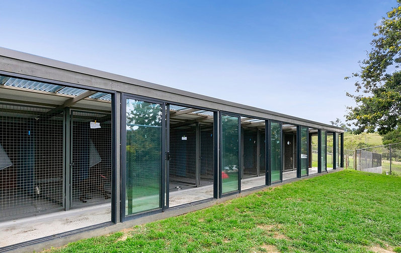 Premium Pet Care at Dog Boarding Melbourne | A Dogs Domain and Cats too