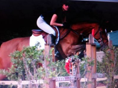 Wally is a gorgeous 5 yr old 14.2 palomino gelding