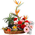Floral flash from www.rightflorist.in for your Kolkata terms