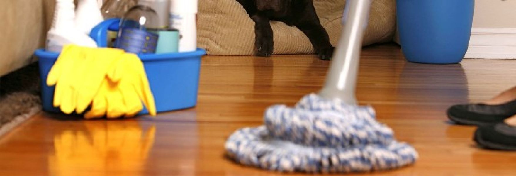 Commercial Cleaning Adelaide