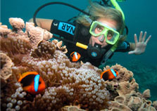 Scuba Diving on The Great Barrier Reef