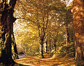 It’s the travel with newness when you’re in New Zealand