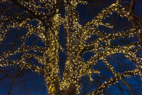 Festoon Lighting Brisbane