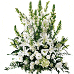 Insert a floral elegance to the celebrations in India