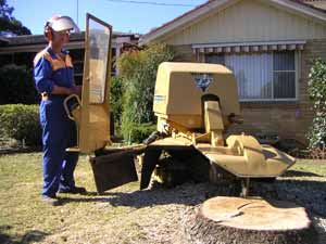 Tree Removal Sydney, Lopping Trees Sydney, Stump Grinding Sydney, Tree Service Baulkham Hills