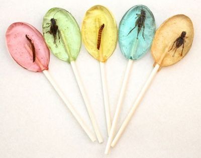 Edible Insect Candy- Creepy Creature Candy