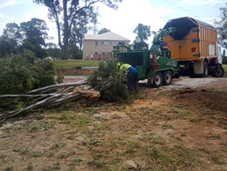 Lopping Trees Sydney - Stump Grinding Sydney - Tree Cutting Sydney