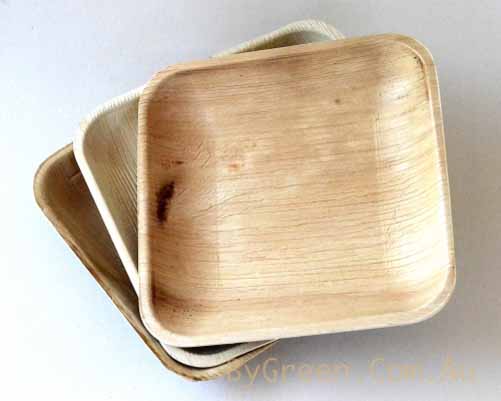 Palm Leaf Compostable Plates