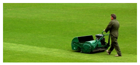 NSW Cleaning - Residential Cleaning,Commercial Cleaning,Carpet Cleaning,Commercial Cleaning.