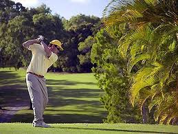 Palm Cove Holiday Accommodation