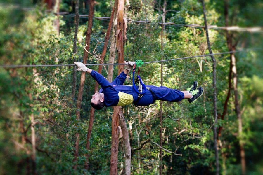 TreeTop Challenge - Currumbin
