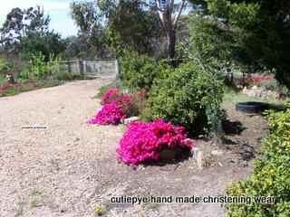 farm 40 acres and house $440000