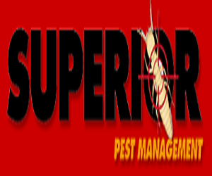 Superior Pest Management