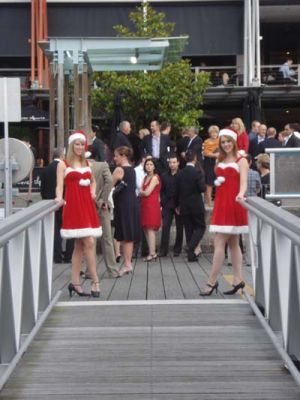 Chistmas Party Cruises on Sydney Harbour
