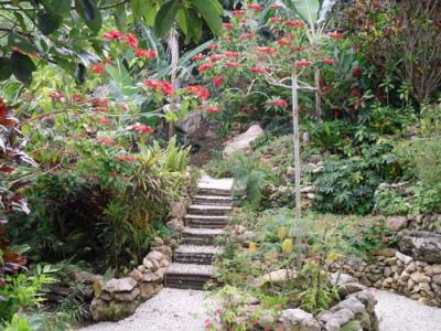 Jamaican Eco Farm, House and Land For Sale