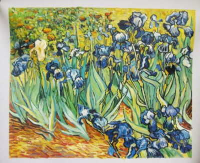 Handmade Oil Paintings