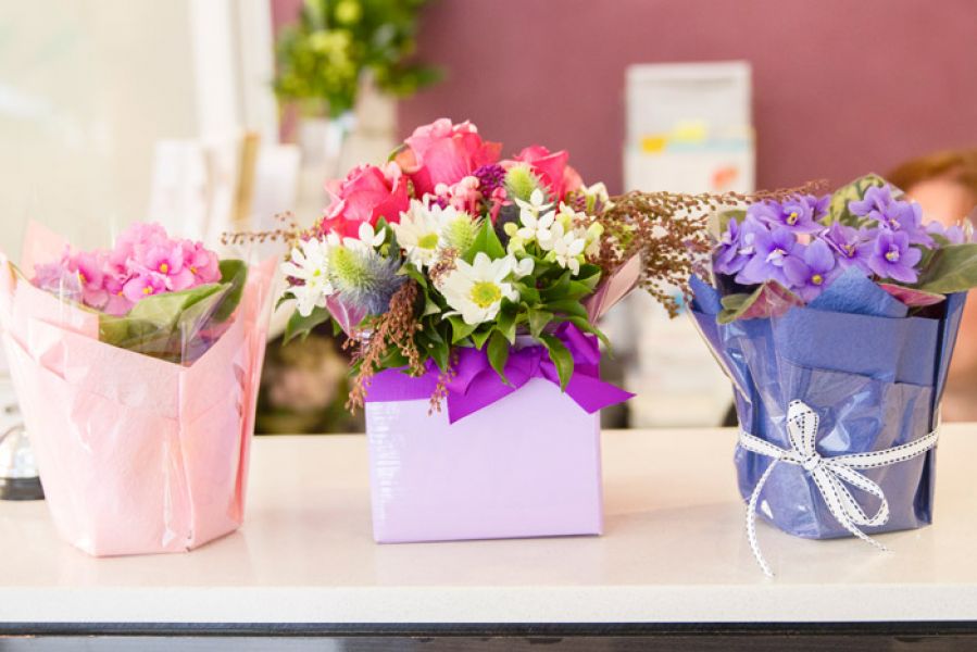 Smile Designing and Smile Makeover Treatment by Healthy Smiles